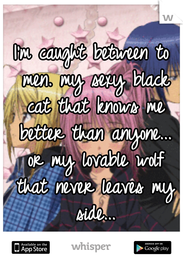 I'm caught between to men. my sexy black cat that knows me better than anyone... or my lovable wolf that never leaves my side...