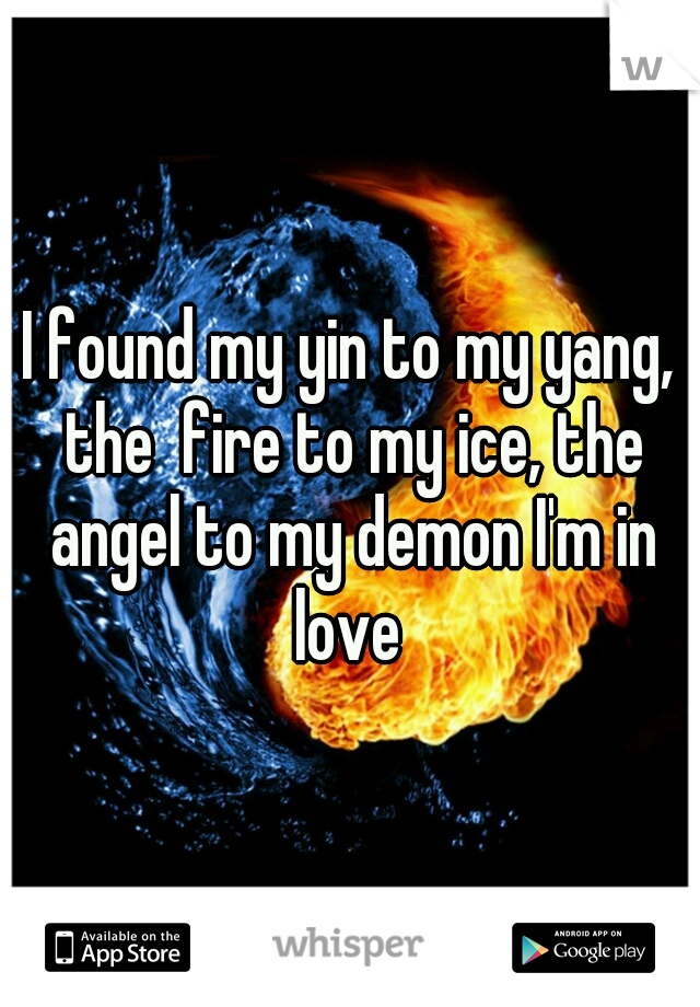 I found my yin to my yang, the  fire to my ice, the angel to my demon I'm in love 