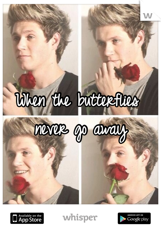 When the butterflies never go away 