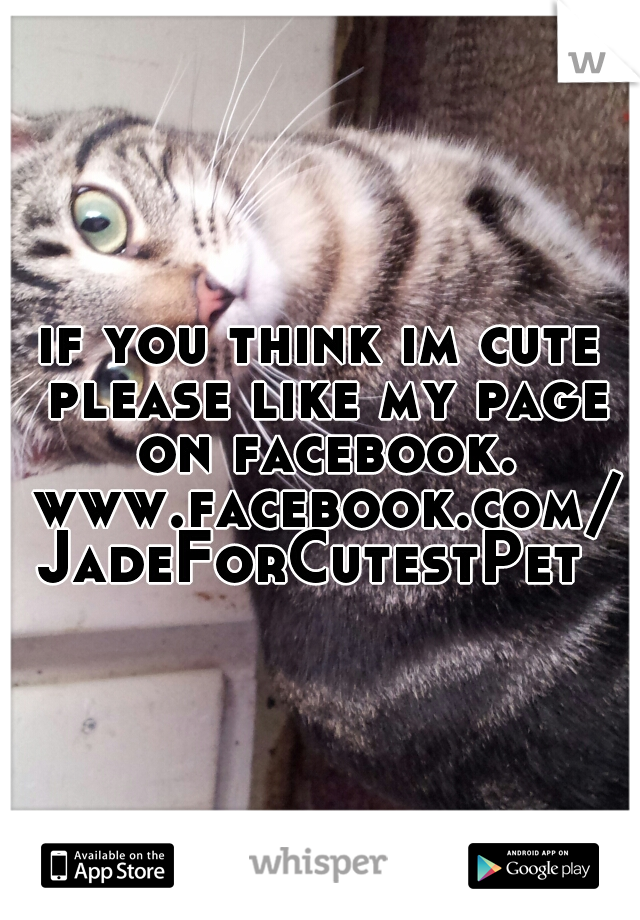 if you think im cute please like my page on facebook. www.facebook.com/JadeForCutestPet 