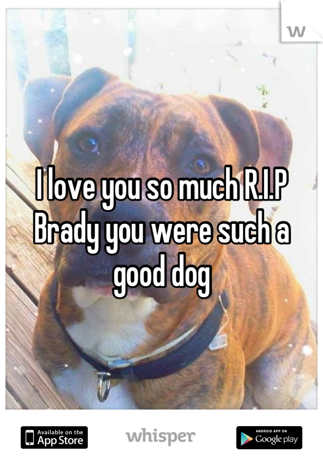 I love you so much R.I.P Brady you were such a good dog