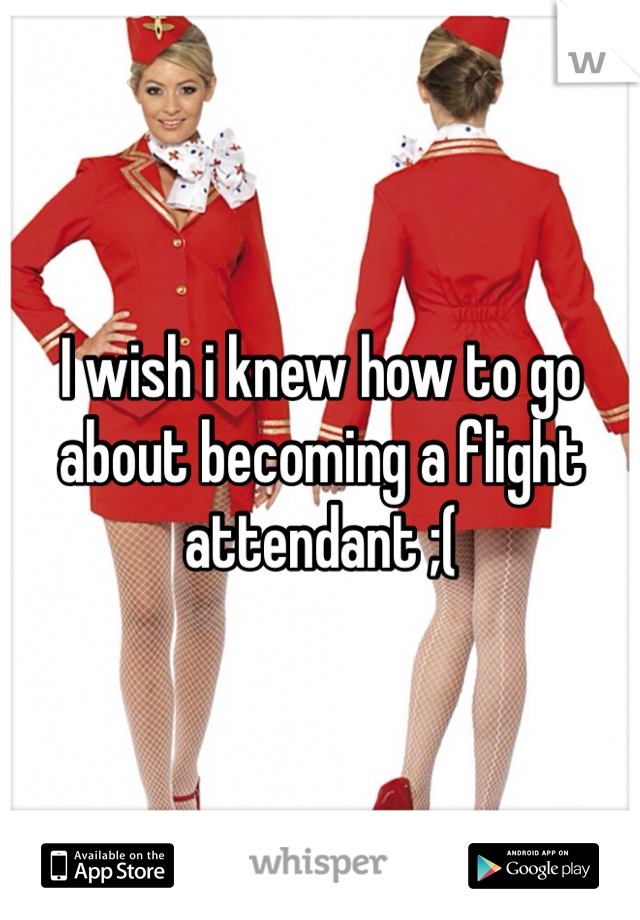 I wish i knew how to go about becoming a flight attendant ;(