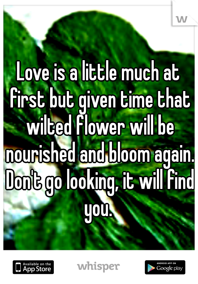 Love is a little much at first but given time that wilted flower will be nourished and bloom again. Don't go looking, it will find you. 