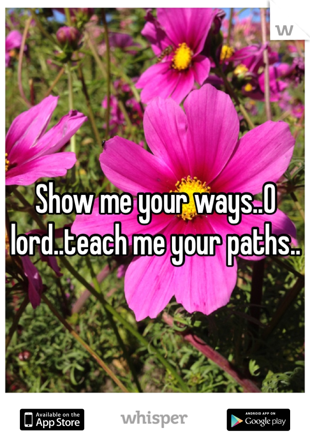Show me your ways..O lord..teach me your paths..