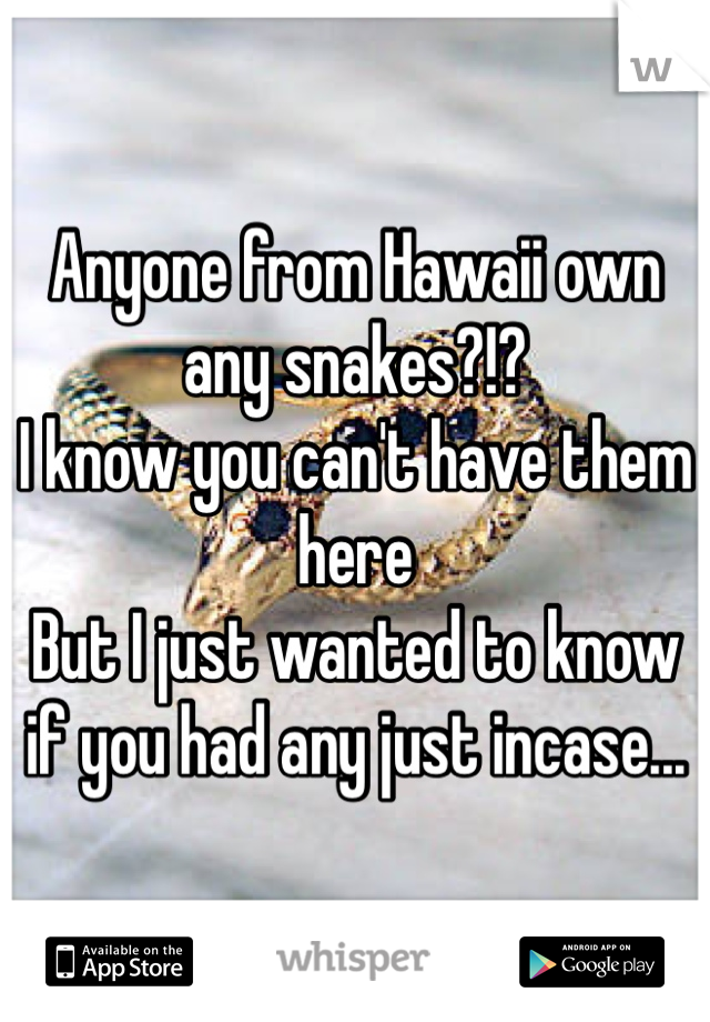 Anyone from Hawaii own any snakes?!?
I know you can't have them here 
But I just wanted to know if you had any just incase... 
