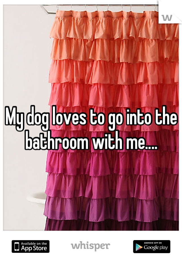 My dog loves to go into the bathroom with me....