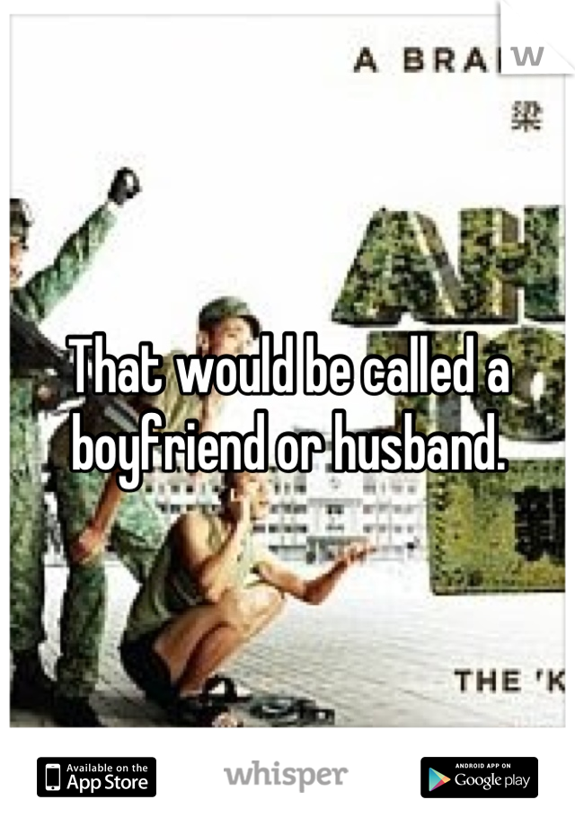 That would be called a boyfriend or husband.