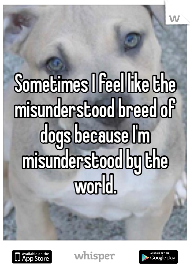 Sometimes I feel like the misunderstood breed of dogs because I'm misunderstood by the world. 