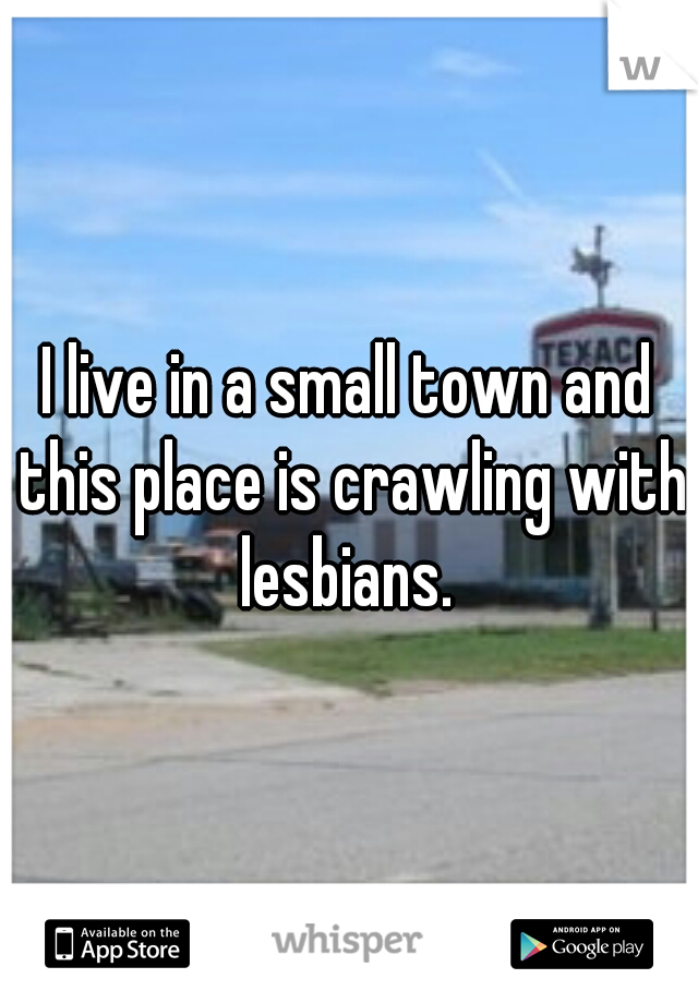 I live in a small town and this place is crawling with lesbians. 