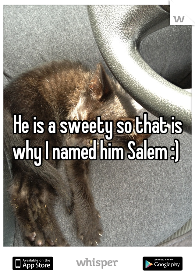He is a sweety so that is why I named him Salem :) 