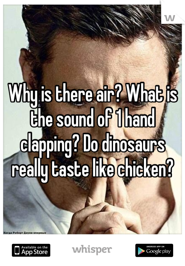 Why is there air? What is the sound of 1 hand clapping? Do dinosaurs really taste like chicken?