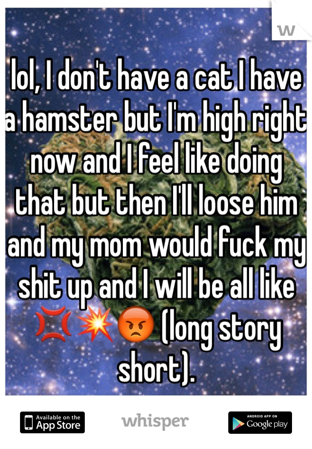 lol, I don't have a cat I have a hamster but I'm high right now and I feel like doing that but then I'll loose him and my mom would fuck my shit up and I will be all like 💢💥😡 (long story short). 