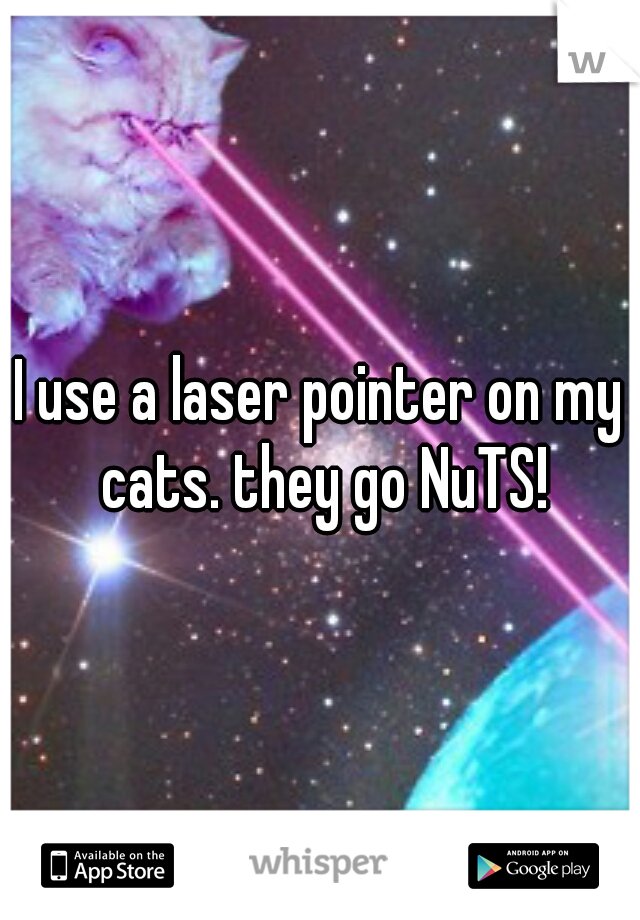 I use a laser pointer on my cats. they go NuTS!
