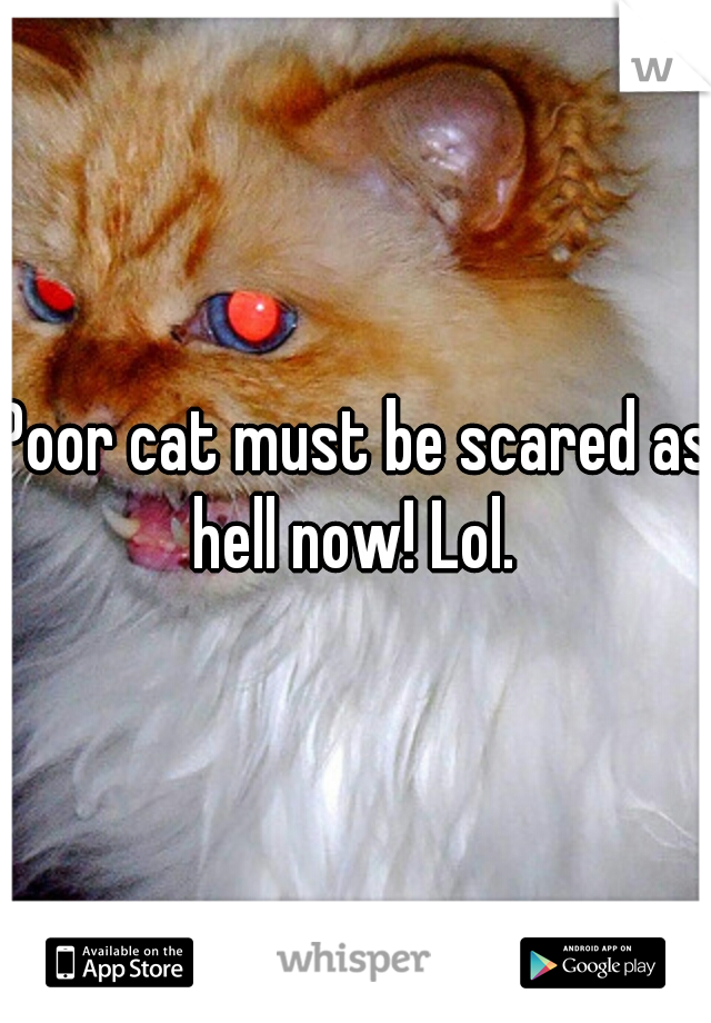 Poor cat must be scared as hell now! Lol. 