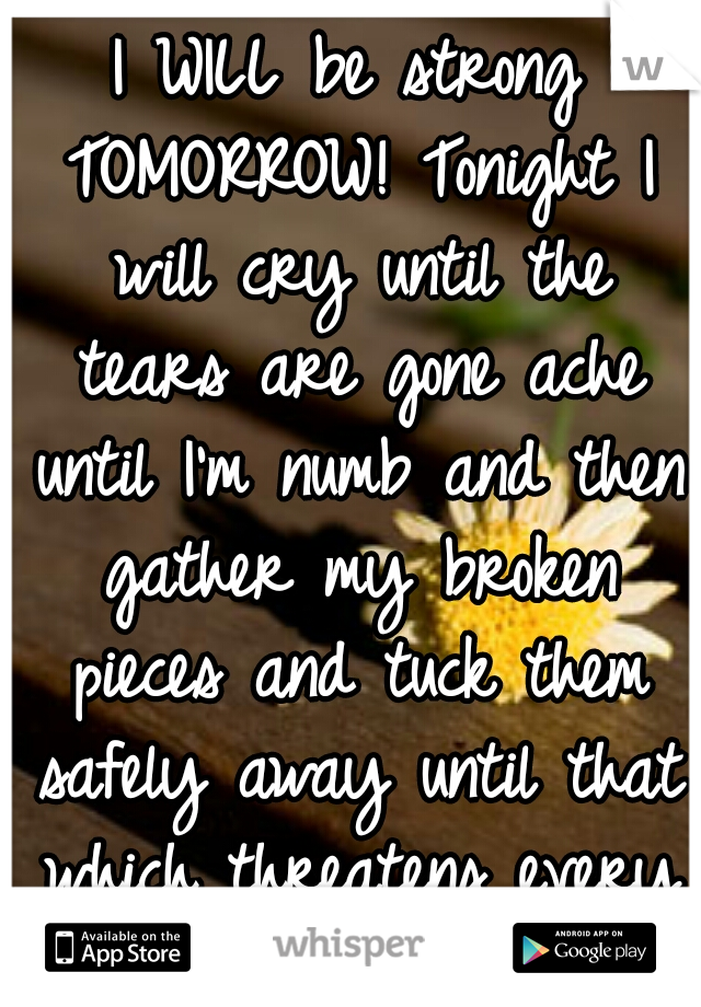 I WILL be strong TOMORROW! Tonight I will cry until the tears are gone ache until I'm numb and then gather my broken pieces and tuck them safely away until that which threatens every piece has passed!