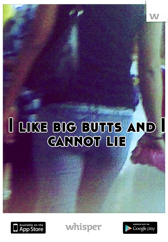 I like big butts and I cannot lie 