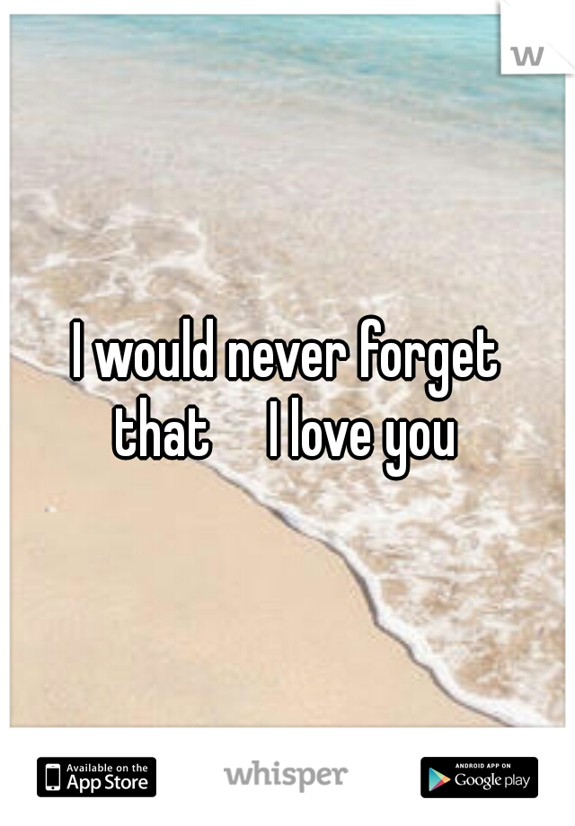 I would never forget that

I love you 