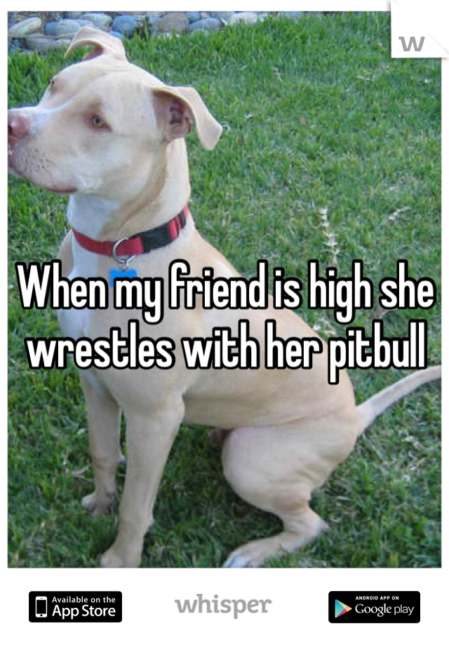 When my friend is high she wrestles with her pitbull