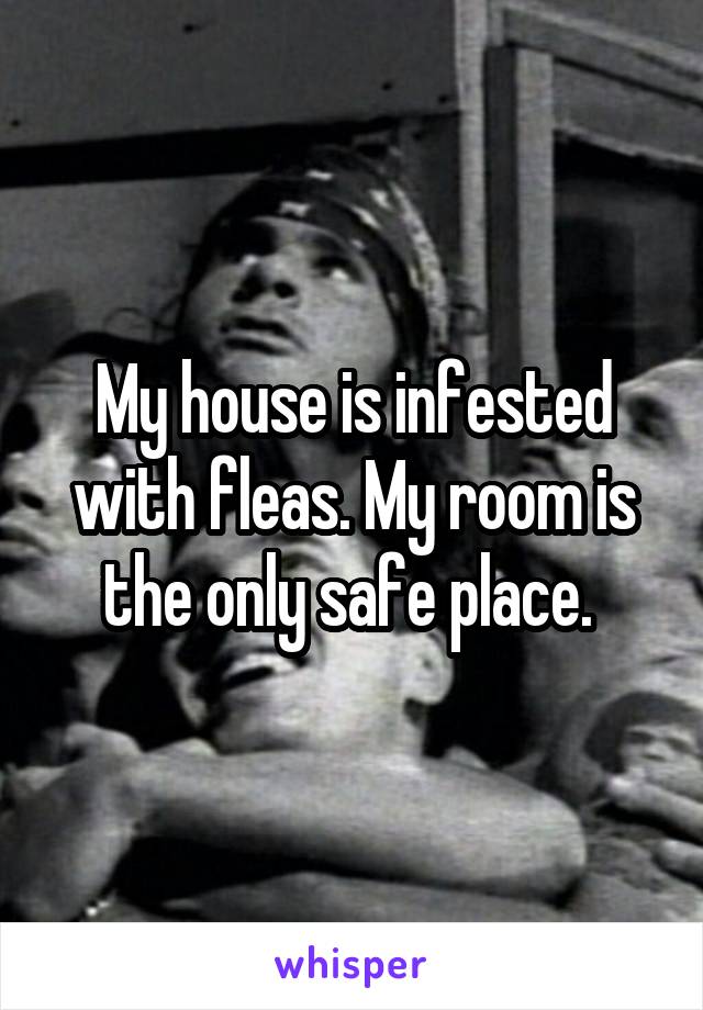 My house is infested with fleas. My room is the only safe place. 