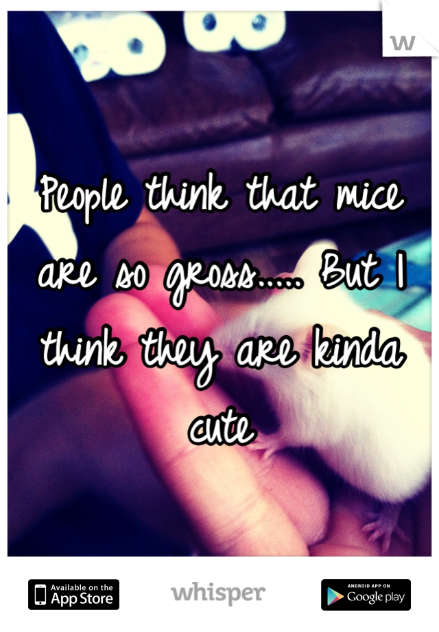 People think that mice are so gross..... But I think they are kinda cute