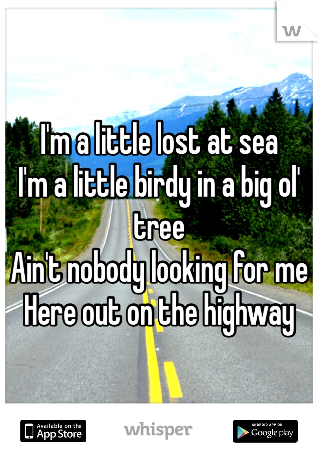 I'm a little lost at sea
I'm a little birdy in a big ol' tree
Ain't nobody looking for me
Here out on the highway