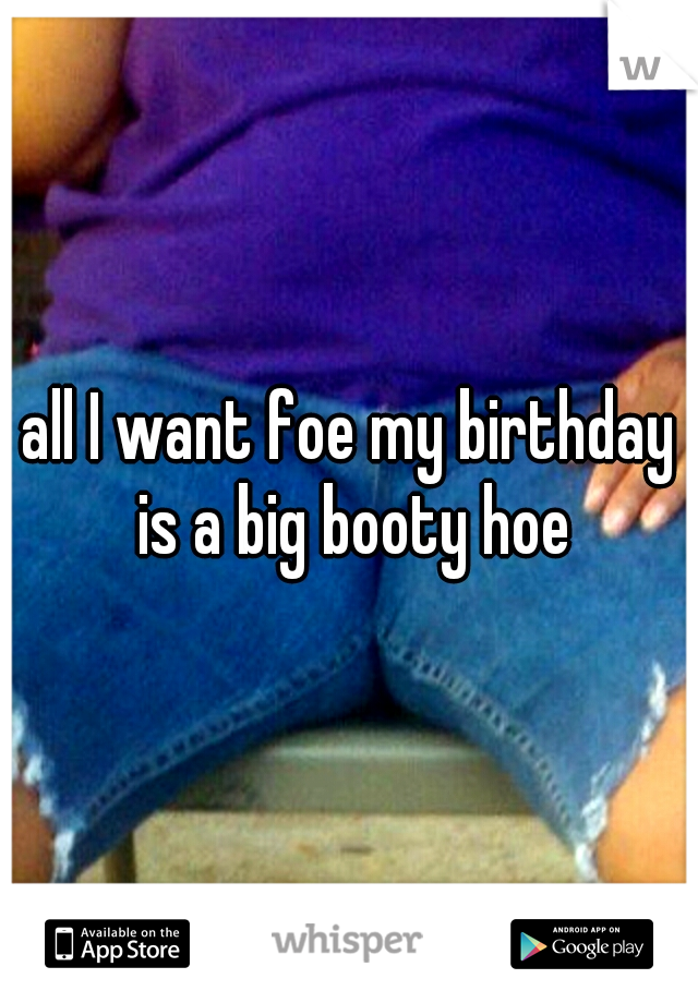 all I want foe my birthday is a big booty hoe