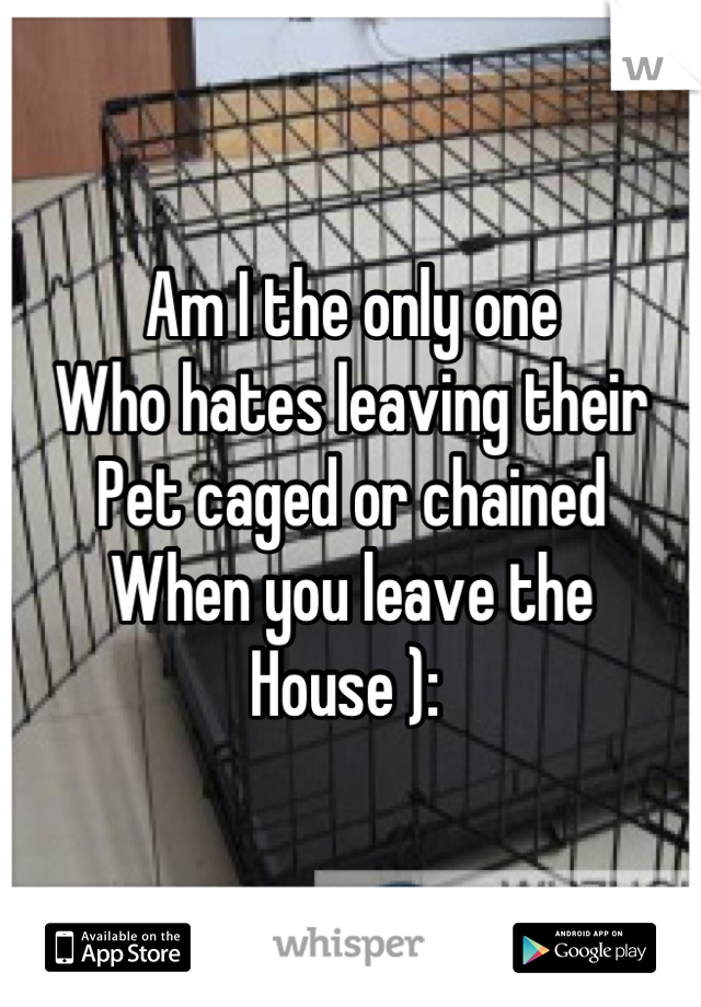 Am I the only one 
Who hates leaving their
Pet caged or chained
When you leave the 
House ): 