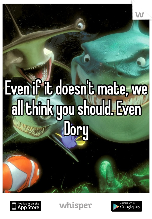 Even if it doesn't mate, we all think you should. Even Dory