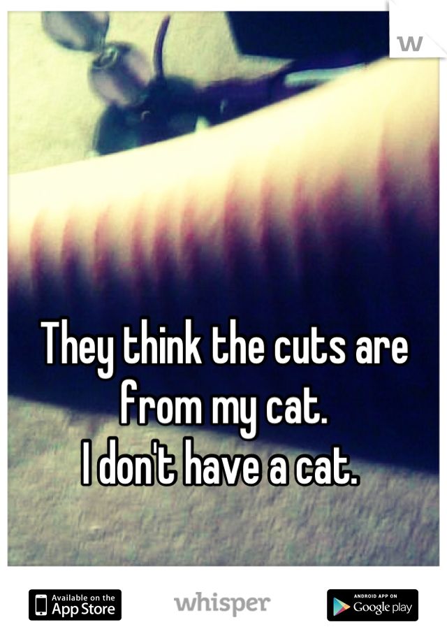 They think the cuts are from my cat. 
I don't have a cat. 
