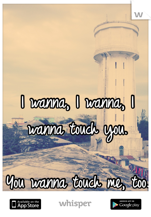 I wanna, I wanna, I wanna touch you. 

You wanna touch me, too. 