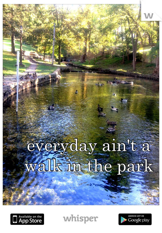 everyday ain't a walk in the park