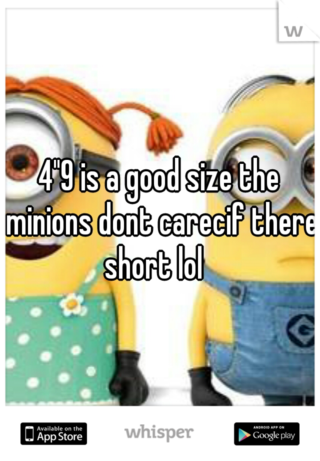 4"9 is a good size the minions dont carecif there short lol 
