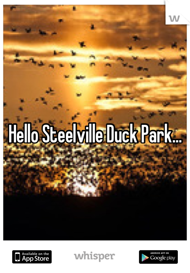 Hello Steelville Duck Park...