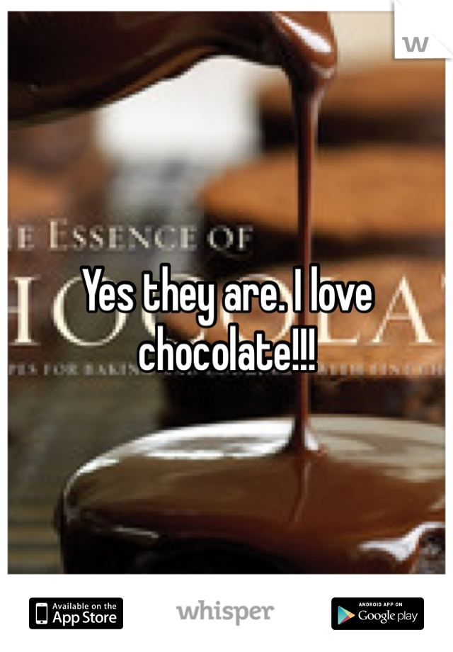 Yes they are. I love chocolate!!!