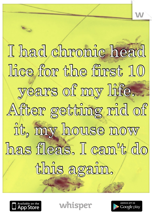I had chronic head lice for the first 10 years of my life. After getting rid of it, my house now has fleas. I can't do this again. 