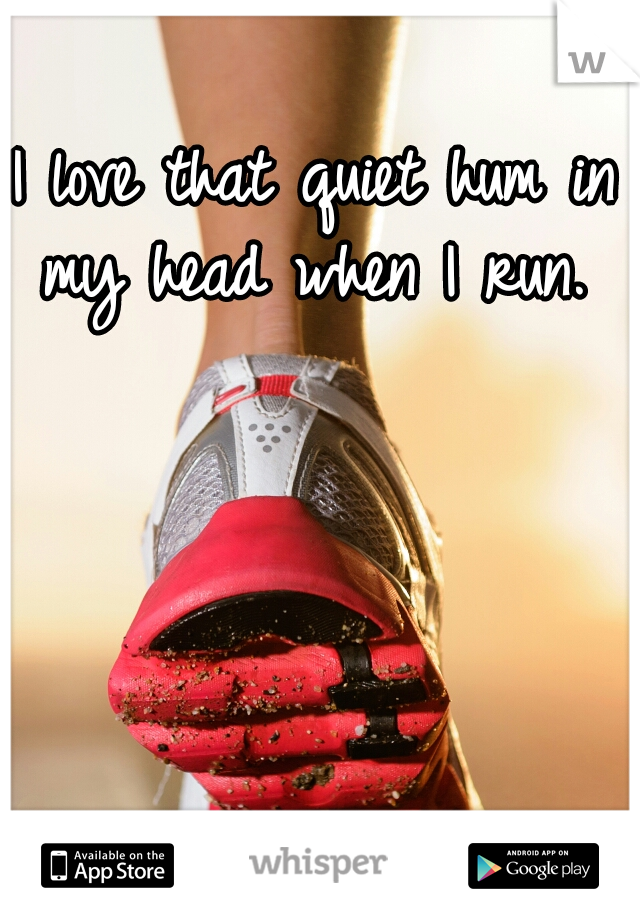 I love that quiet hum in my head when I run. 
