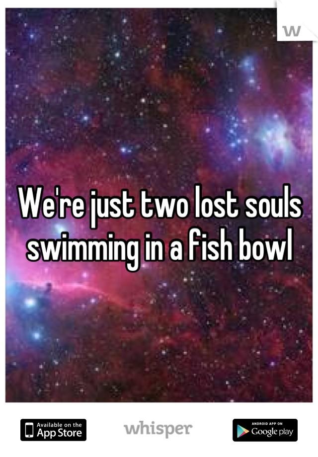 We're just two lost souls swimming in a fish bowl
