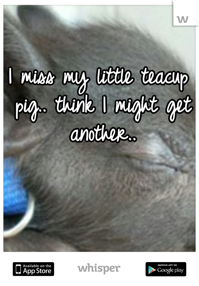 I miss my little teacup pig.. think I might get another..