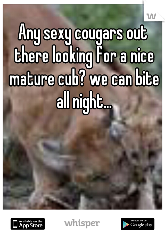 Any sexy cougars out there looking for a nice mature cub? we can bite all night...