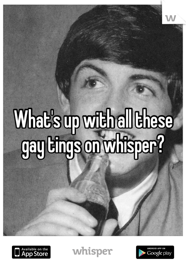 What's up with all these gay tings on whisper?