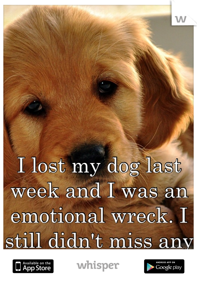 I lost my dog last week and I was an emotional wreck. I still didn't miss any work though. 