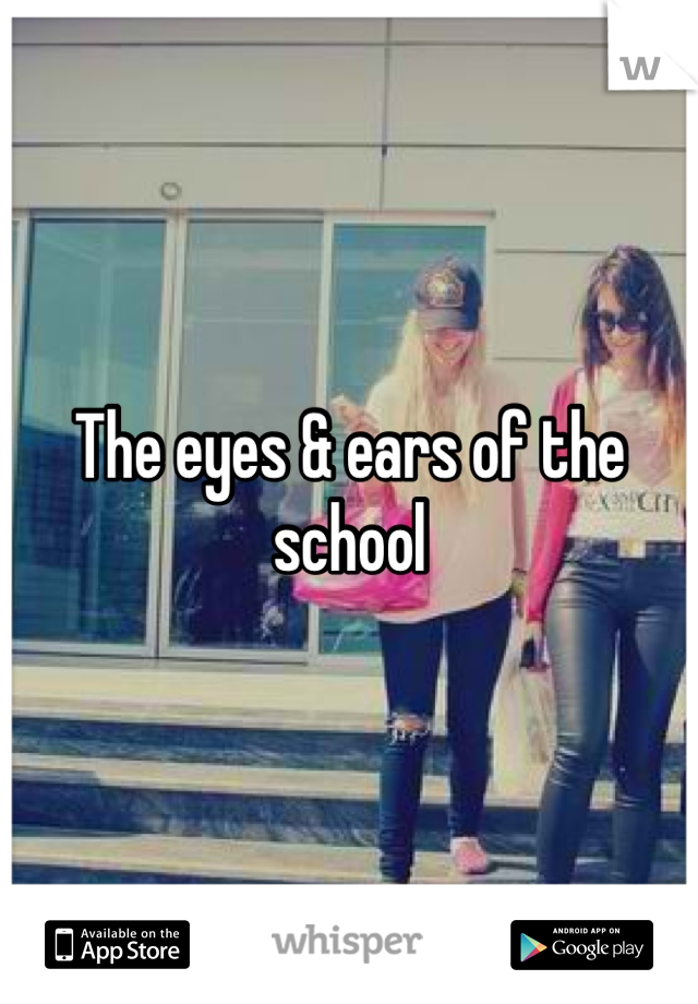 The eyes & ears of the school