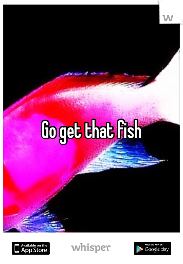 Go get that fish 