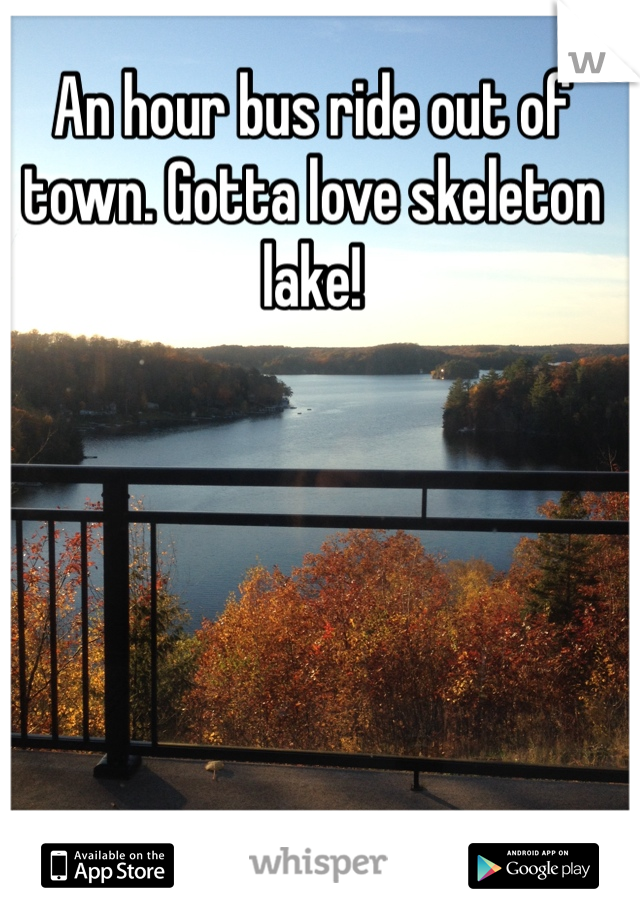 An hour bus ride out of town. Gotta love skeleton lake! 