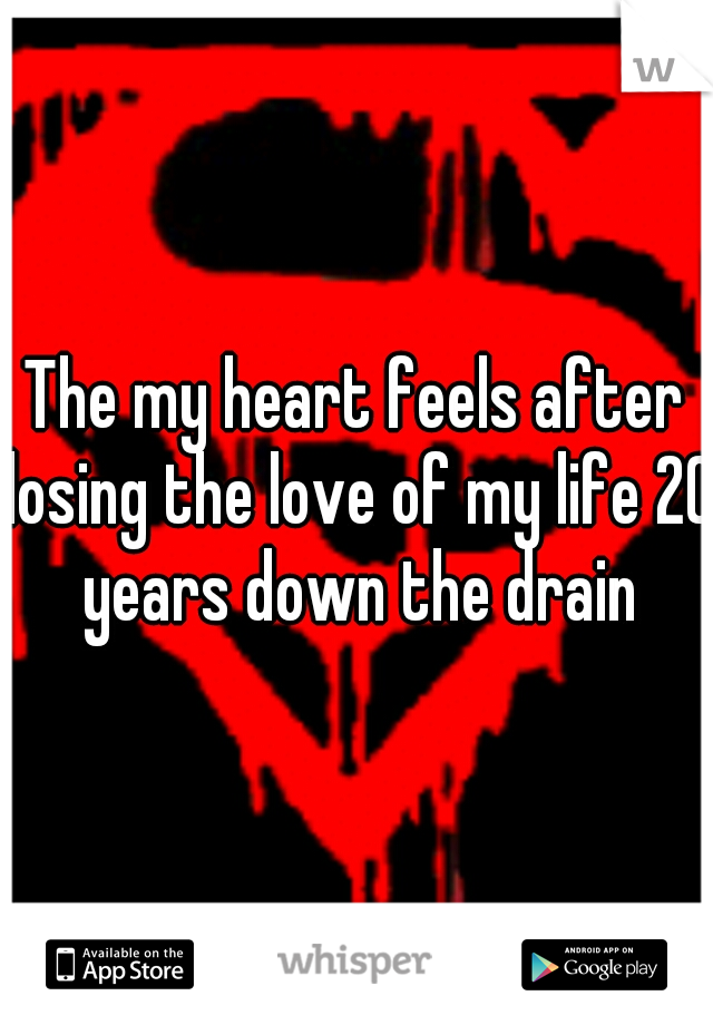 The my heart feels after losing the love of my life 20 years down the drain