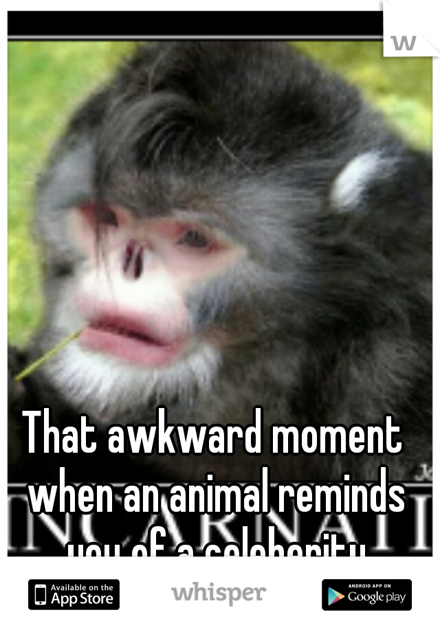 That awkward moment when an animal reminds you of a celeberity