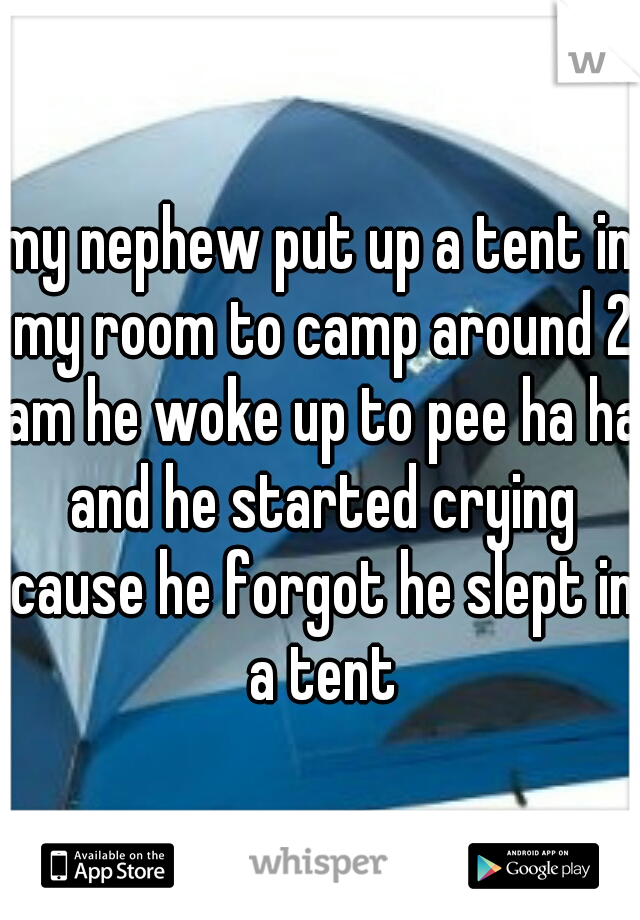 my nephew put up a tent in my room to camp around 2 am he woke up to pee ha ha and he started crying cause he forgot he slept in a tent