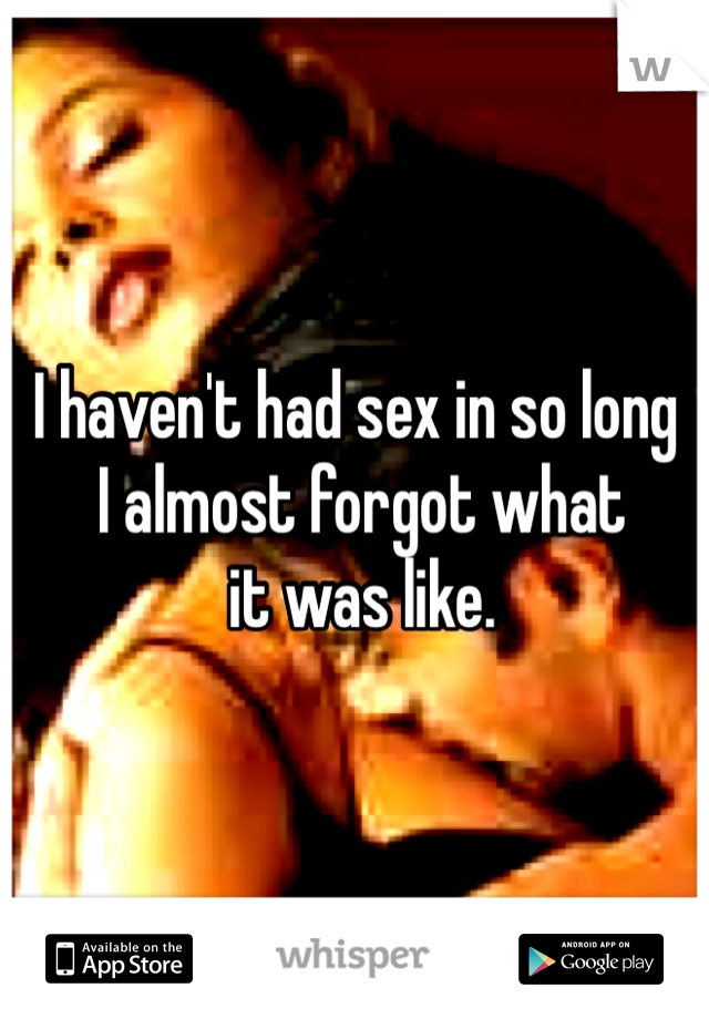 I haven't had sex in so long
 I almost forgot what
 it was like.