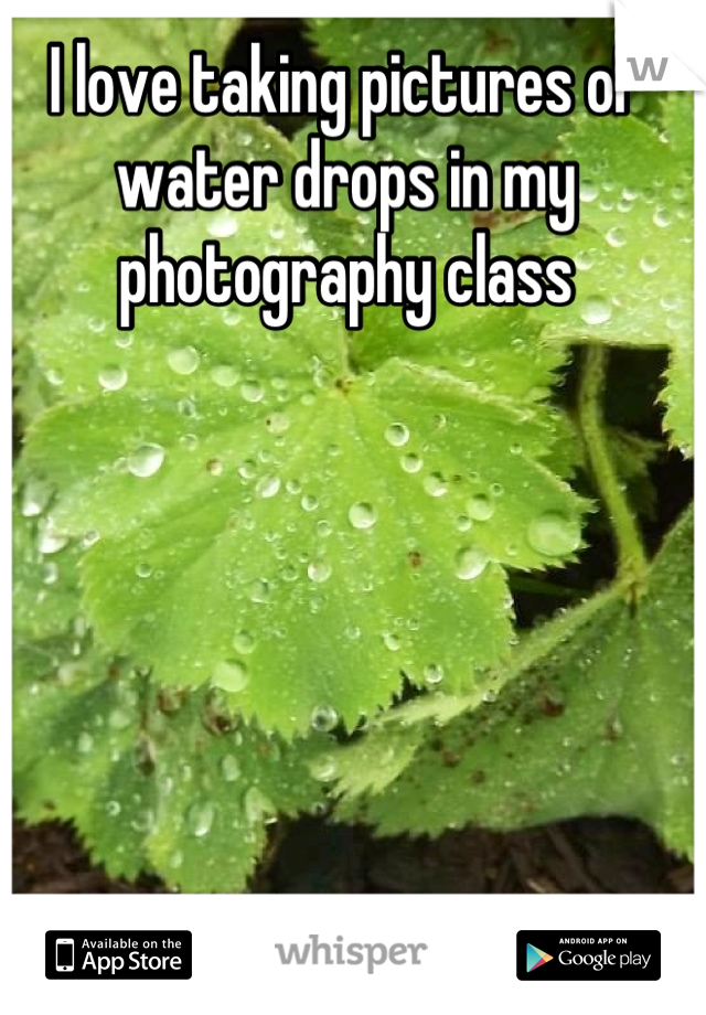 I love taking pictures of water drops in my photography class