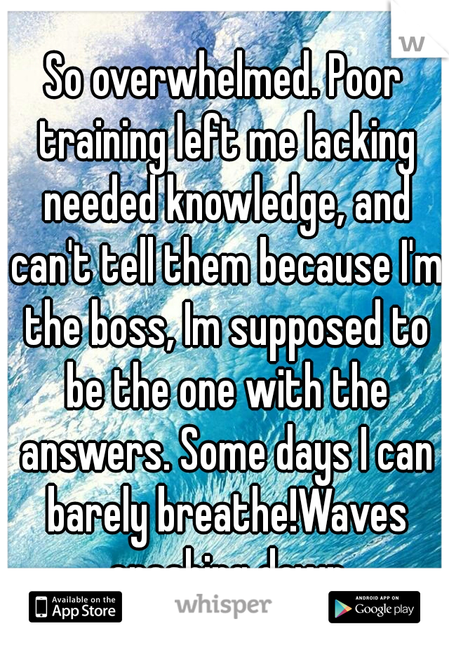 So overwhelmed. Poor training left me lacking needed knowledge, and can't tell them because I'm the boss, Im supposed to be the one with the answers. Some days I can barely breathe!Waves crashing down